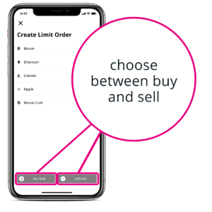 How to set a Limit Order in BISON App - third step.