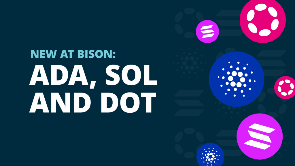 new at bison: ada, sol and dot