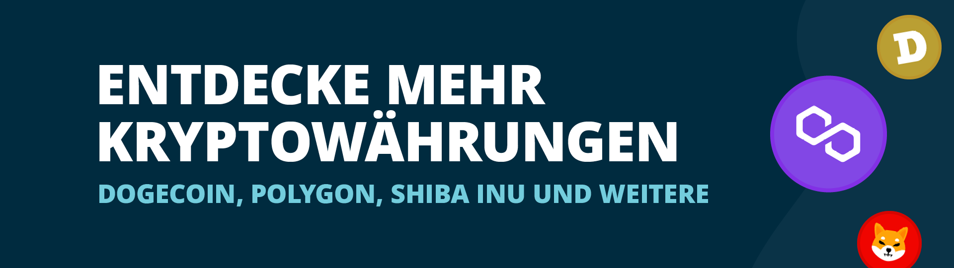 Entdecke die neuen Kryptowährungen auf BISON!