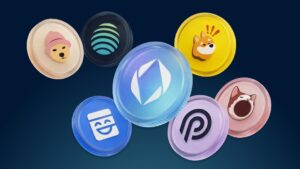 BISON Blog new coins