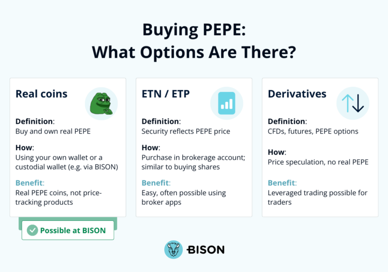 Buying Pepe: What Options are there?